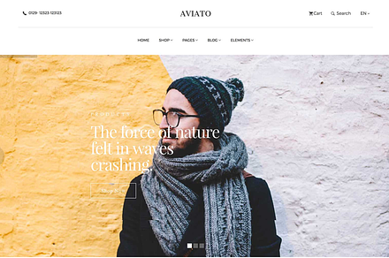 Aviato-Bootstrap E-Commerce Template, a Bootstrap Template by Themefisher
