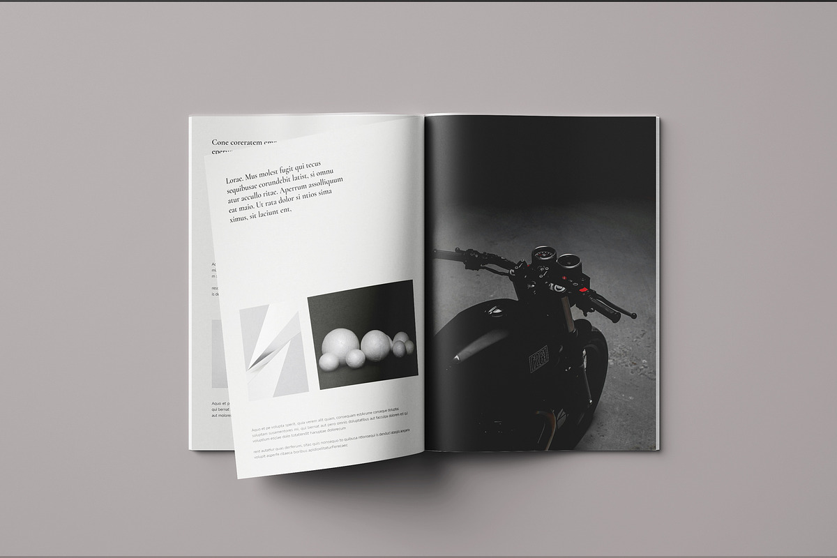 Book Title Layout, a Brochure Template by Seeing-art (Photo 4 of 14)