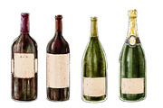 Wine artistic set, a Food Illustration by Schumacher Shop (Thumbnail 2 of 8)