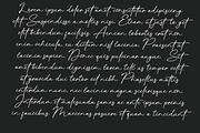 Ningetan Handwritten Font, a Handwritten Font by Basnistudio (Thumbnail 4 of 14)