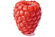 All Fruits Bundle Master Collection, a Food & Drink Photo by FlyeredTemplate (Thumbnail 6 of 130)