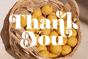 Garden Rosila Modern Retro Serif, a Serif Font by timelesstype.co (Thumbnail 20 of 20)