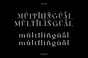 Vastyque - Modern Ligatures Serif