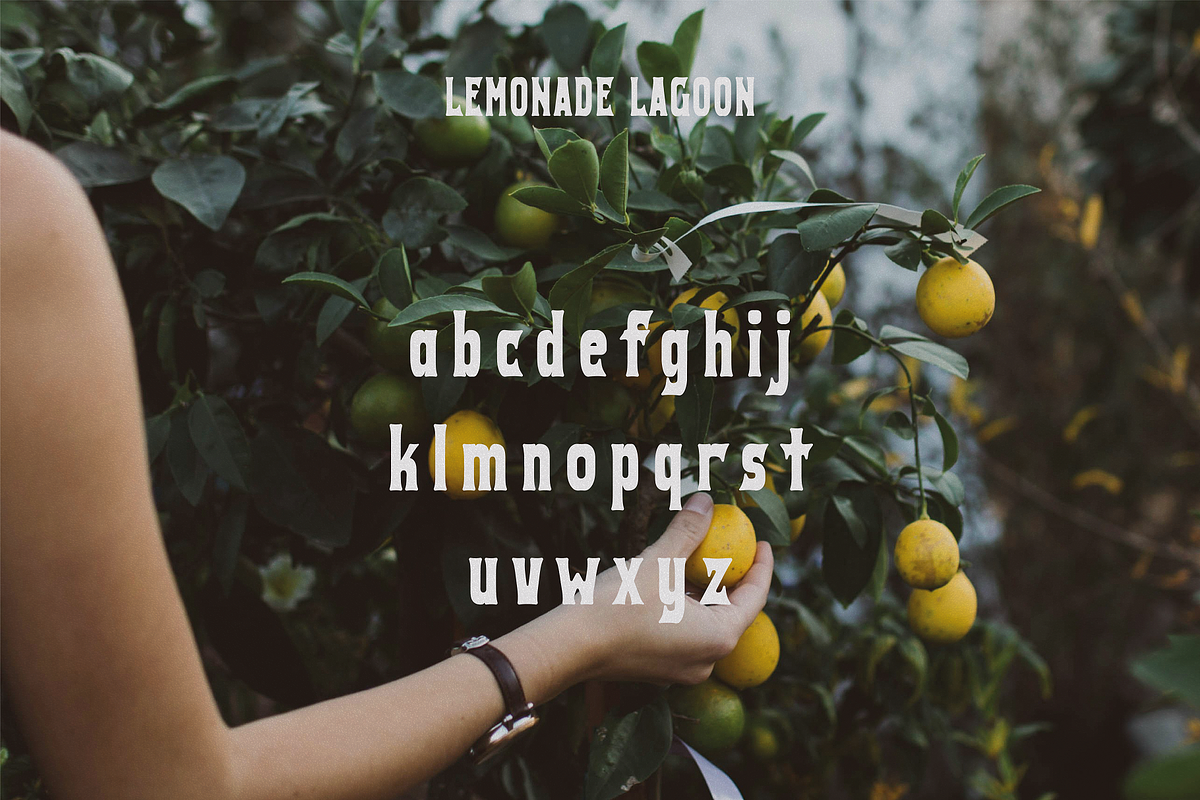 Lemonade Lagoon - Vintage Typeface, a Serif Font by HipFonts (Photo 7 of 10)