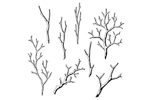 Set of dry bare branches. Decorative, an Object Graphic by incomible