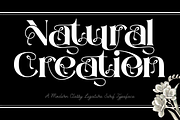 Natural Creation - Decorative Font, a Serif Font by 177Studio (Thumbnail 1 of 8)