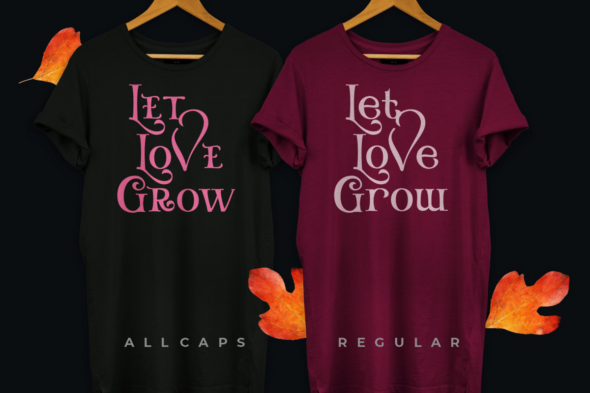 Misteri - Whimsical Font!, a Serif Font by Burhan Afif (Photo 2 of 7)