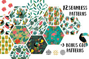Tropical Clip Art & Patterns Set, an Illustration by 5August Art (Thumbnail 4 of 8)