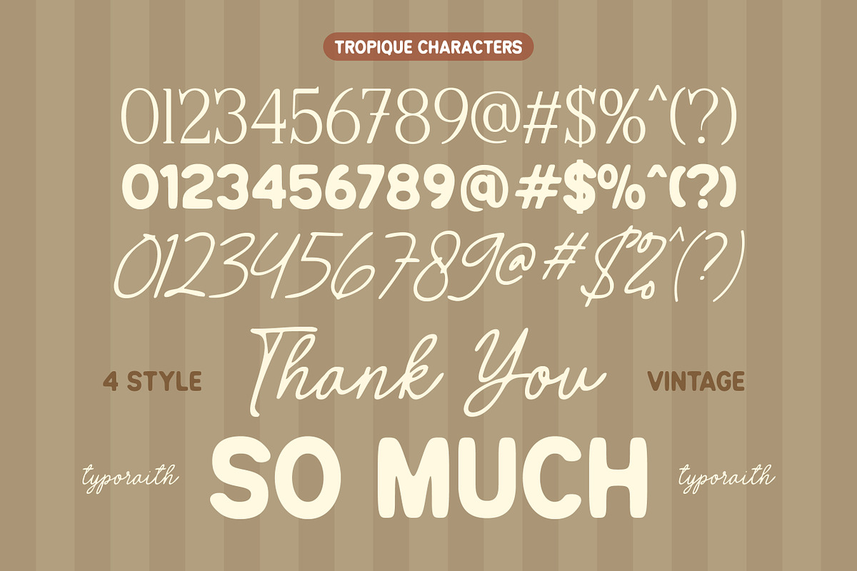 Tropique | Vintage Chic Font Pack, a Handwritten Font by Typoraith Co (Photo 10 of 11)