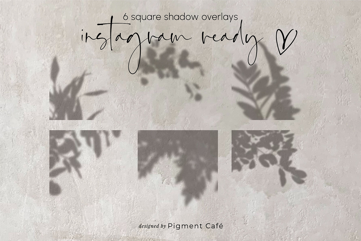Leafy Botanical Shadow Overlays, a Background Graphic by Pigment Café (Photo 5 of 8)