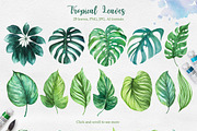 Tropical. Watercolor illustrations., a Decorative Illustration by AlexGreenArt (Thumbnail 3 of 12)