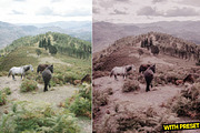 Pink Dream Presets for Lightroom, a Preset Add-On by Hubzway (Thumbnail 3 of 5)