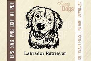 Labrador Retriever Funny Dog