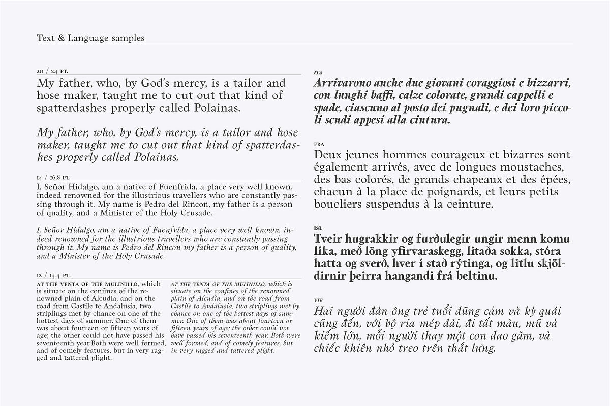 Berganza Font, a Serif Font by Cuchi, qué Tipo! Foundry (Photo 5 of 10)