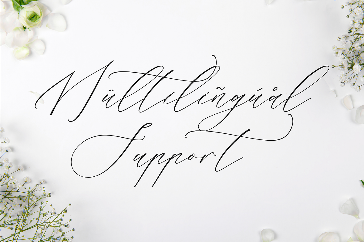 Liontinela Realise Chic Calligraphy, a Script Font by Storytype Studio (Photo 12 of 15)