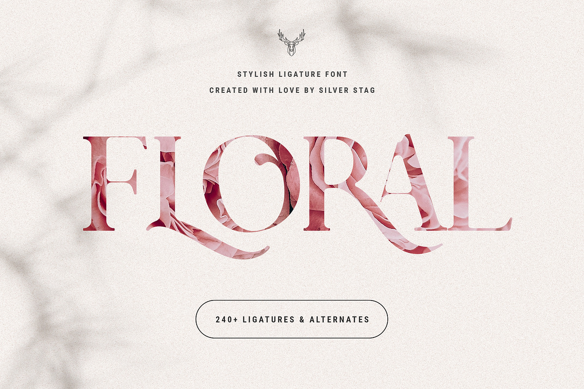 Charles - Chic Ligature Serif Font, a Serif Font by SilverStag Type Foundry (Photo 12 of 31)