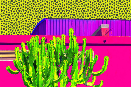 Minimal tropical design. Collage art. Cactus and animal texture, a Wallpaper Photo by Jenya Porechenskaya