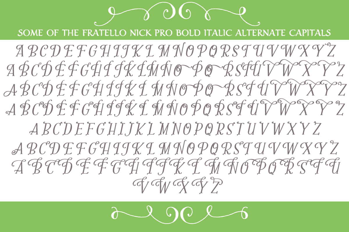Sale-Fratello Nick Pro Bold Italic preview 2