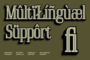 Acelon 3D, a Serif Font by Craft Supply Co. (Thumbnail 5 of 7)