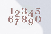 Baltster, a Serif Font by Picatype Studio (Thumbnail 10 of 17)