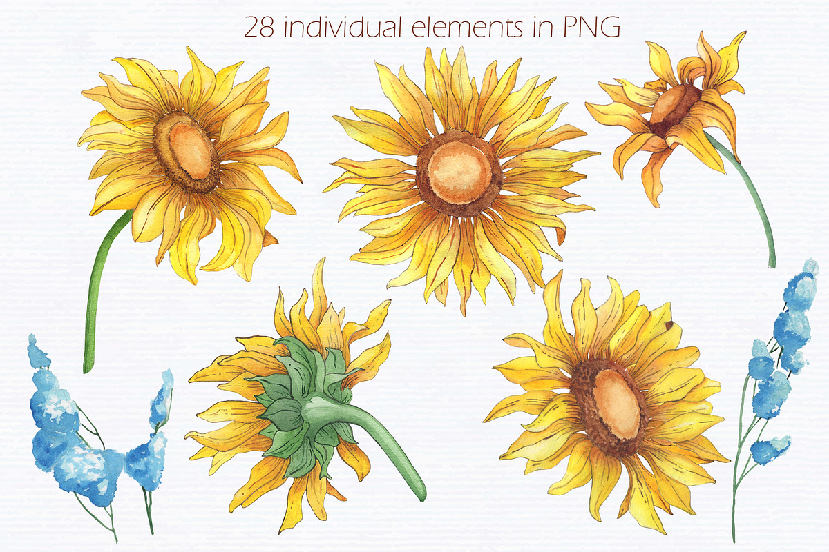 Sunflower watercolour collection., a Decorative Illustration by DamriNa art (Photo 5 of 10)