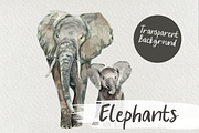 Watercolor Elephants Clip Art, an Illustration by Tati Bordiu (Thumbnail 1 of 4)