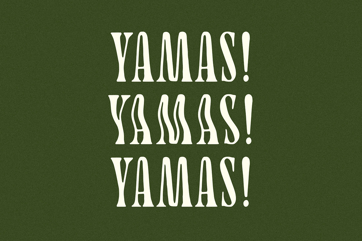 Yamas | A Soft Modern Serif Font, a Serif Font by Taylor Penton (Photo 4 of 6)