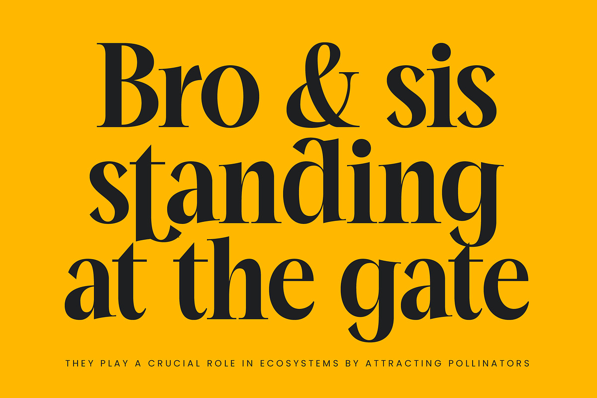 Mailyo Modern Serif Display Font, a Serif Font by timelesstype.co (Photo 2 of 20)