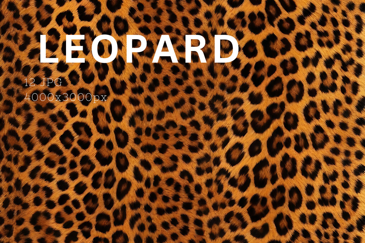 Safari Animals Skin Print Texture, a Graphic by UniqueMe (Photo 4 of 21)