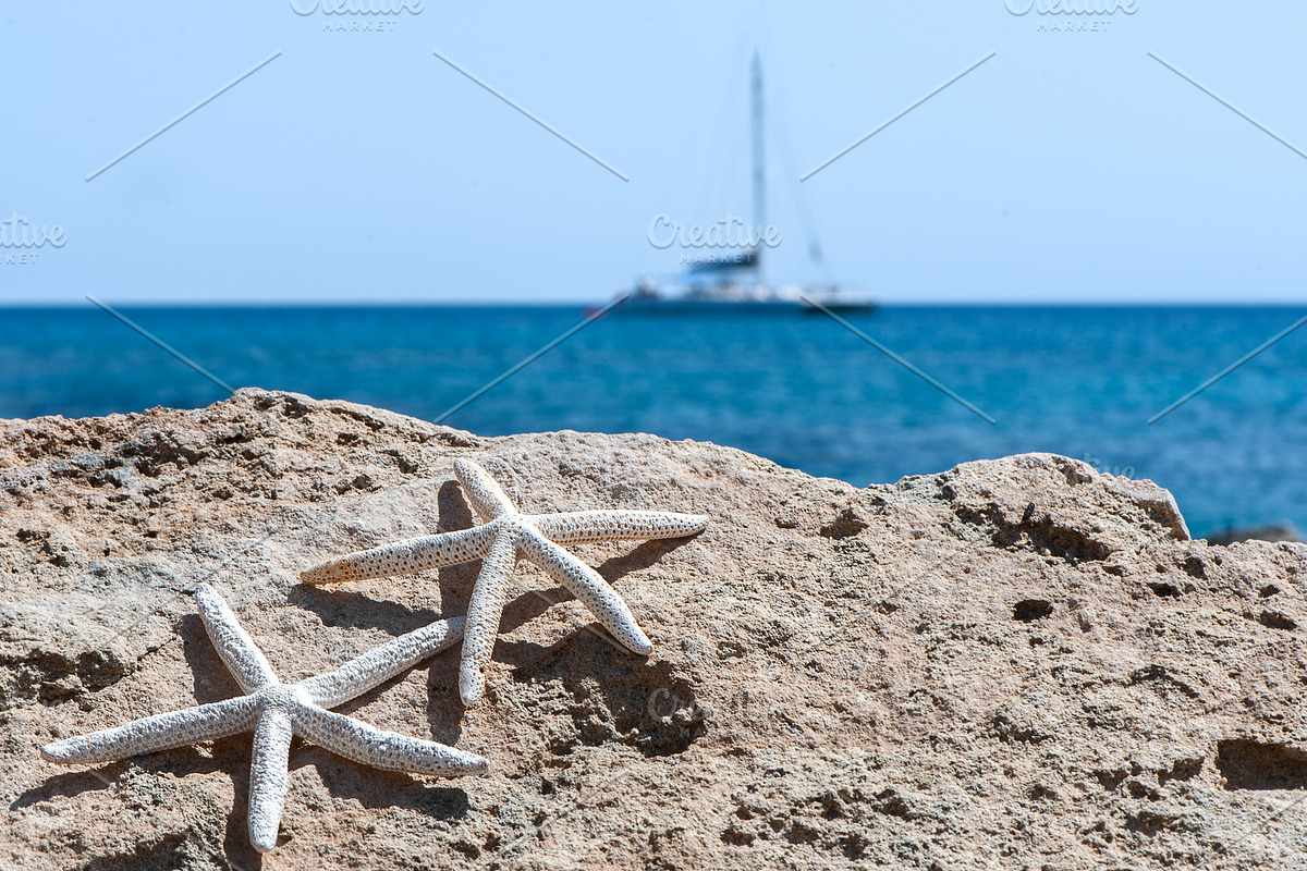 Sea sand rocks and starfish stock photo containing starfish and beach, a Nature Photo by WildStrawberry Magic (Photo 2 of 2)
