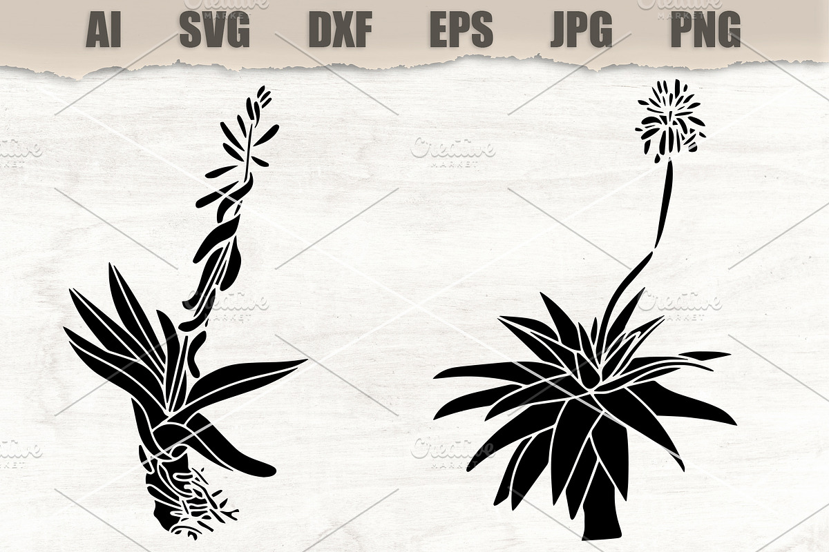 Stencils Gasteria Flower, an Object Illustration by MARYCRAFTIRIA (Photo 1 of 3)