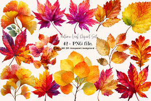 Watercolor Autumn Fall Leaves, a Seasonal Illustration by SVGArt