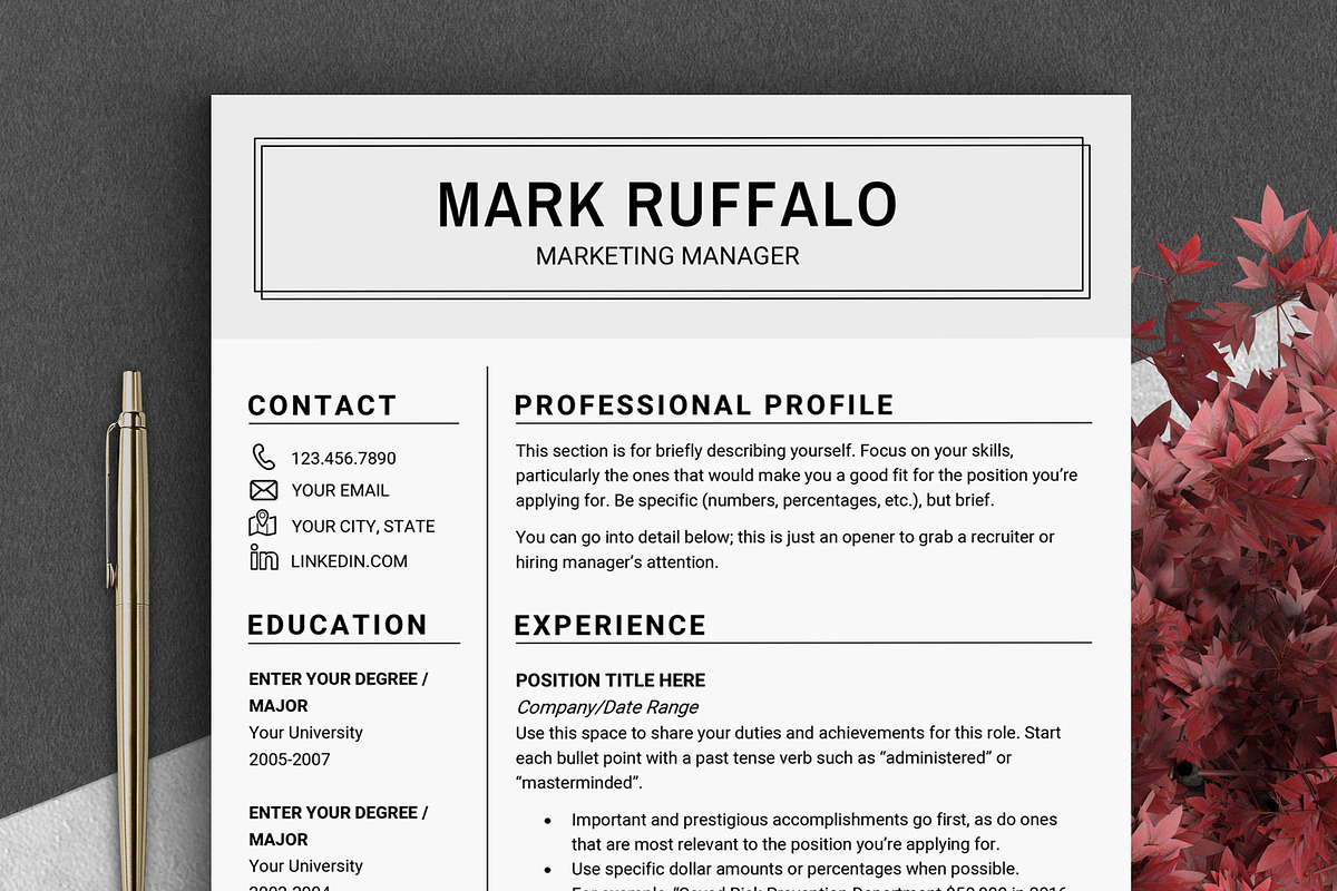 Minimalist RESUME Template CV, a Resume Template by LevelUpResume (Photo 1 of 5)