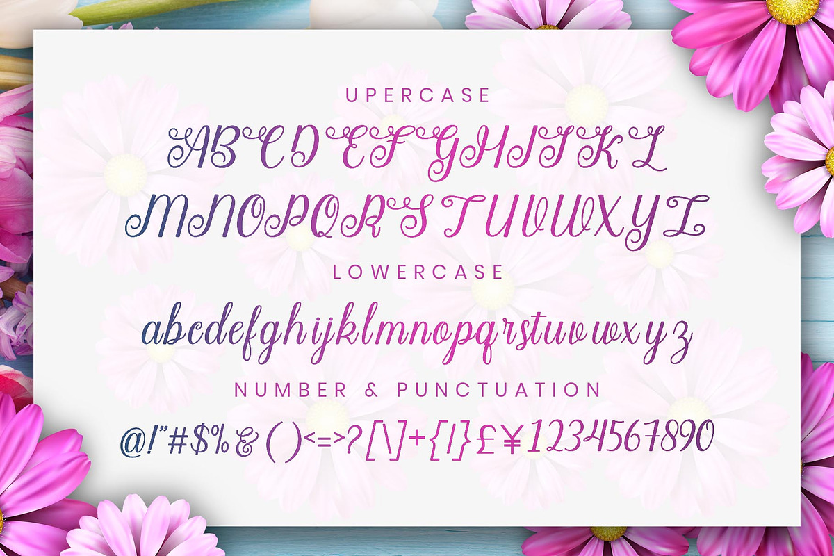 Angella Beauty Srcipt Font, a Script Font by Graphicxell (Photo 4 of 10)