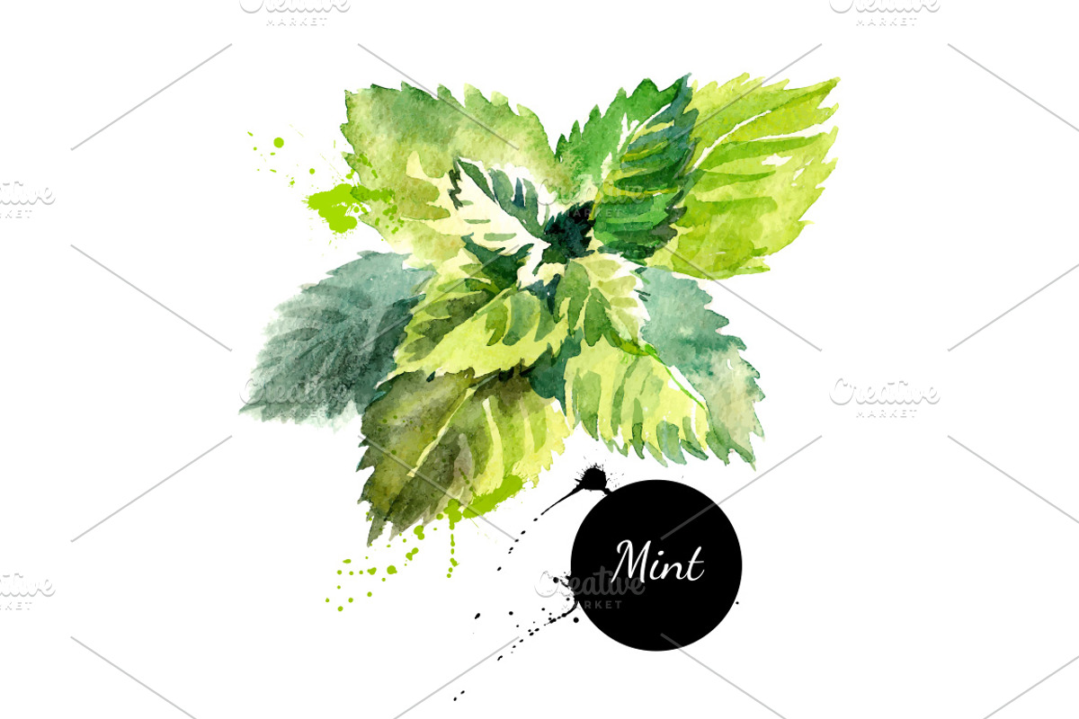 Watercolor Herb & Spices Vector Set, a Food Illustration by Elena Pimonova (Photo 3 of 5)