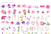 Ultimate Flower & Leaf Collection, an Object Graphic by Pretty Little Lines (Thumbnail 22 of 47)