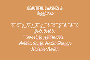 Delightful Monoline Font Duo, a Handwritten Font by supfonts (Thumbnail 9 of 10)