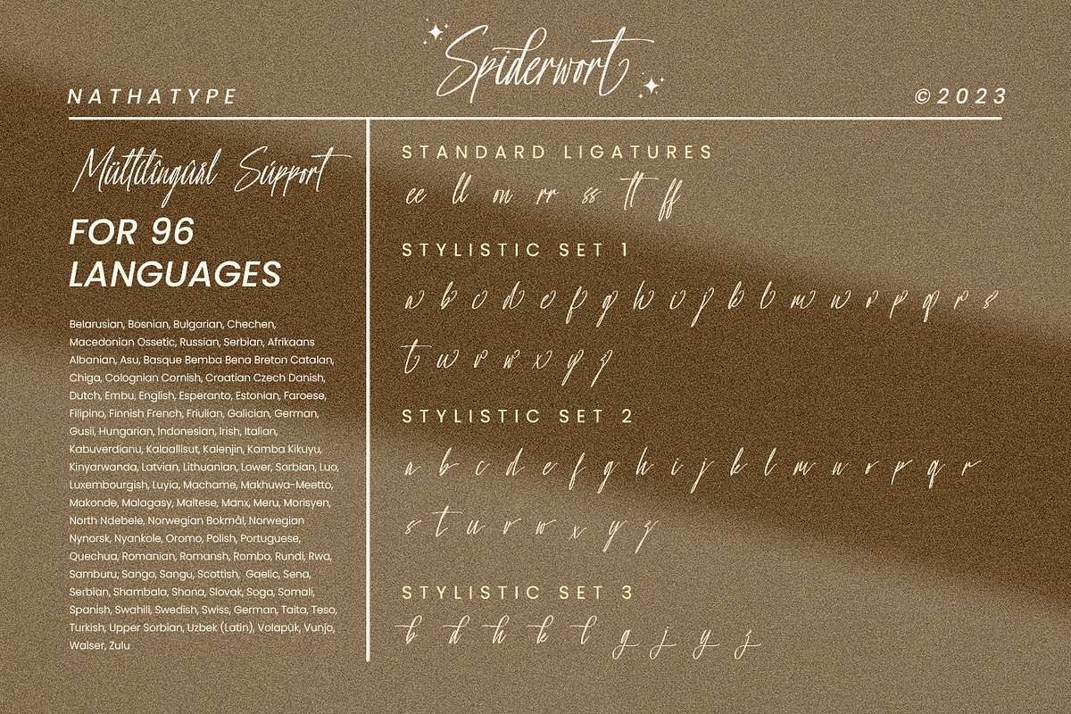 Spiderwort, a Script Font by Nathatype (Photo 7 of 8)