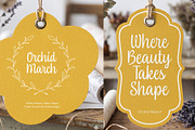 Daisy Stitch: A charming handwritten, a Handwritten Font by Four Lines Std. (Thumbnail 3 of 9)