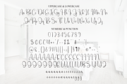 Homestay | Script Font, a Handwritten Font by Scratchones (Thumbnail 3 of 9)
