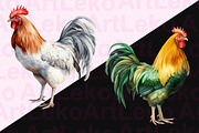Roosters Clipart, an Animal Illustration by LekoArt (Thumbnail 3 of 10)