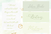 Camelia Script, a Script Font by Fargun Studio (Thumbnail 3 of 14)
