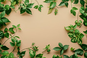 99 Frames of green leaves, a Nature Photo by Handmadefont (Thumbnail 12 of 100)