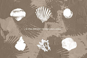 Shell Imprint textures, a Background Graphic by DigARTbyHavroshka (Thumbnail 11 of 12)