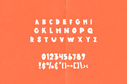 Roadside Motel | Display Font, a Sans Serif Font by Artcoast Std. (Thumbnail 11 of 14)