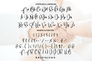 Agree | Script Font, a Script Font by Scratchones (Thumbnail 7 of 7)