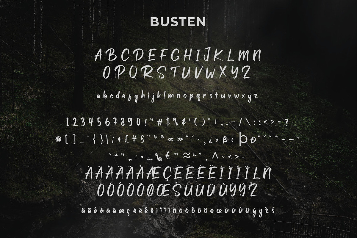 Busten - Handwritten Brush Font, a Script Font by Craft Supply Co. (Photo 9 of 9)