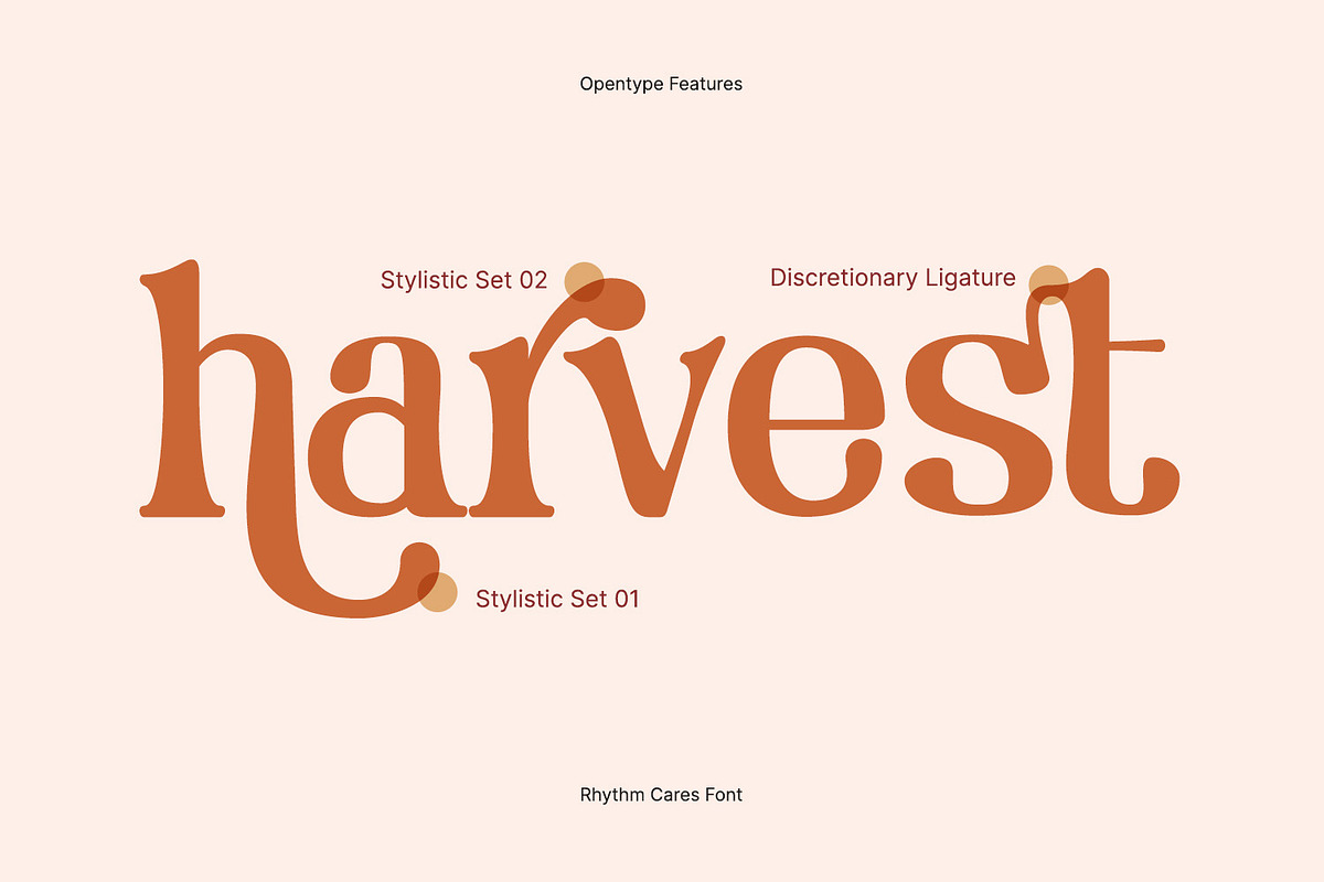 Rhythm Cares, a Serif Font by yumnatype (Photo 9 of 10)