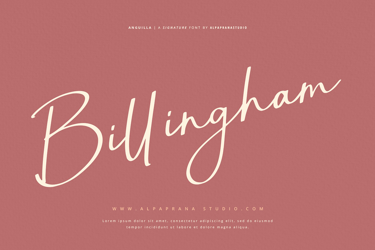 Anguilla - Signature Font, a Script Font by Alpaprana (Photo 7 of 13)