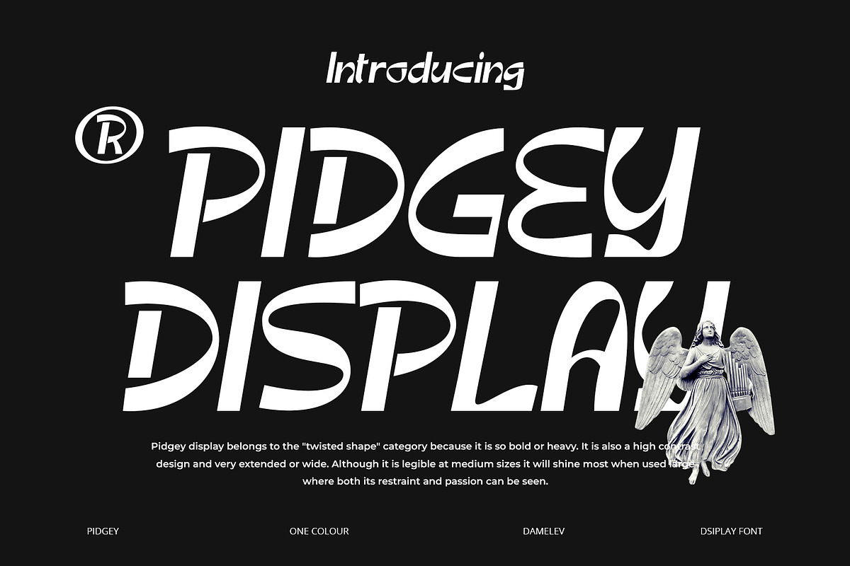 Pidgey, a Sans Serif Font by Damelev (Photo 1 of 9)